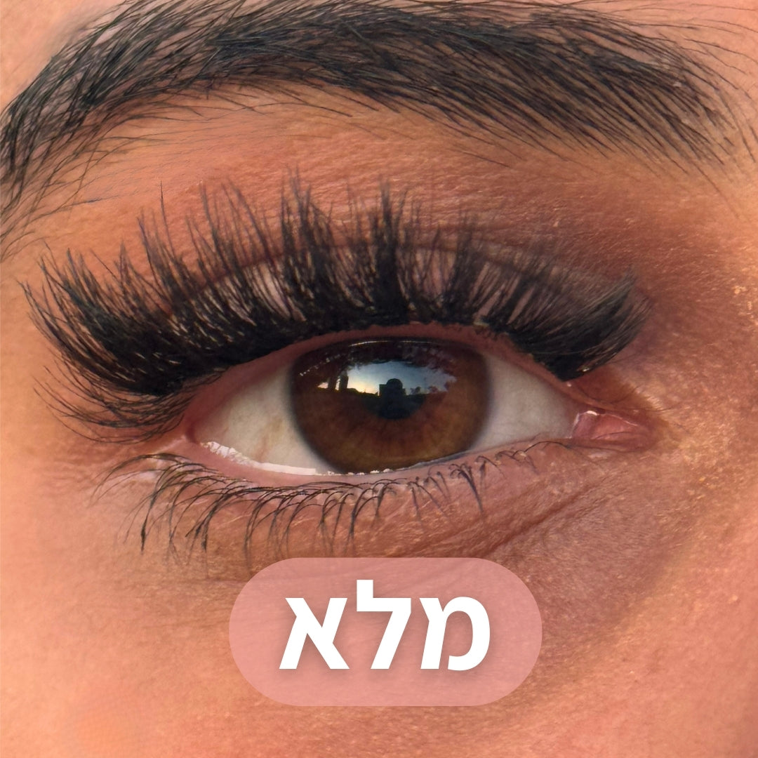 ריסים מגנטיים - TYLI™ מבצע לזמן מוגבל