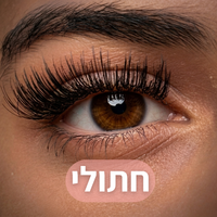 חתולי