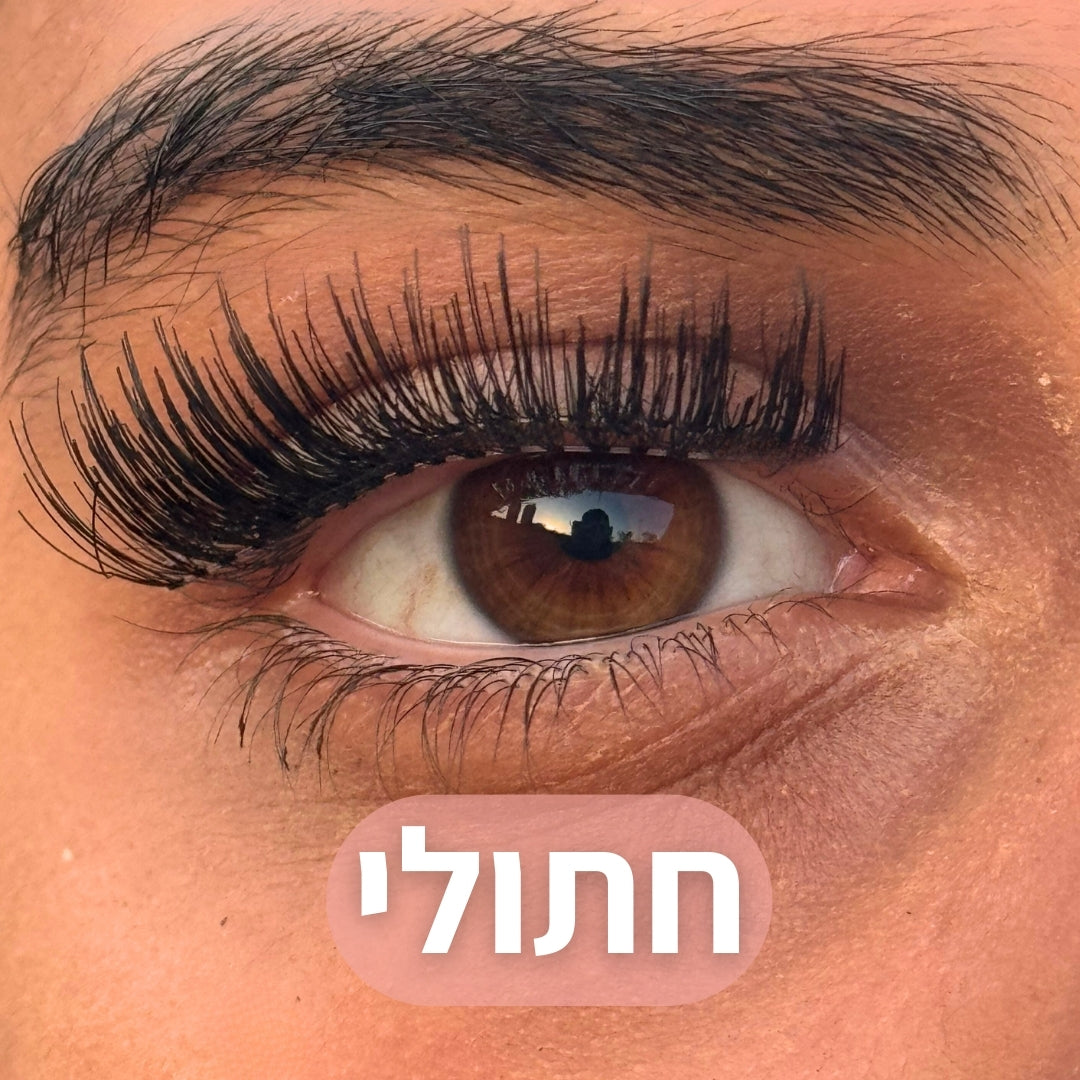 ריסים מגנטיים - TYLI™ מבצע לזמן מוגבל